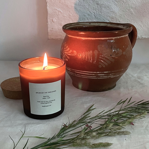 Species by the Thousands Candle | Red Clay, Amber + Musk