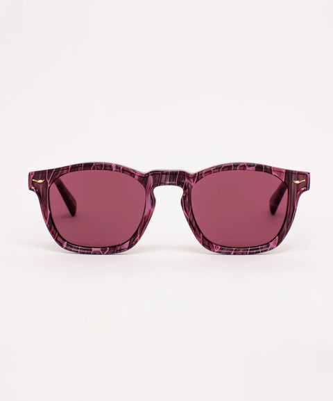 Sardine Alfie Sunglasses | Midnight Boogie