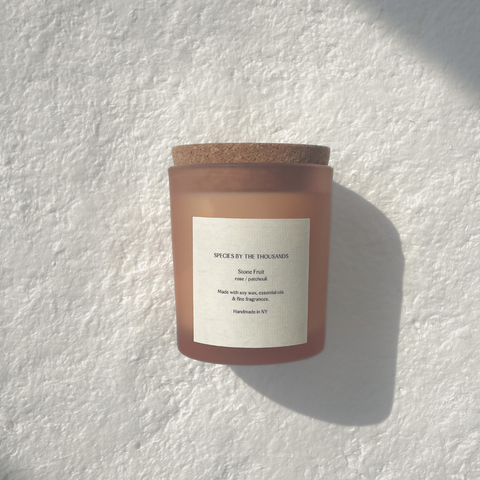 Species by the Thousands Candle | Stone Fruit, Rose + Patchouli