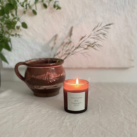 Species by the Thousands Candle | Red Clay, Amber + Musk