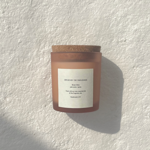 Species by the Thousands Candle | Rose Otto, Palo Santo + Grass