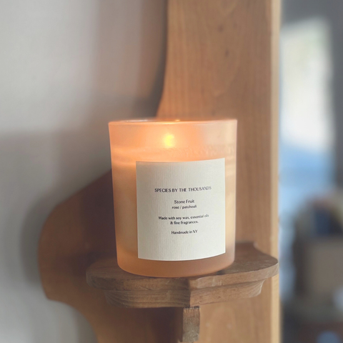Species by the Thousands Candle | Stone Fruit, Rose + Patchouli