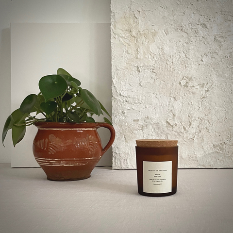 Species by the Thousands Candle | Red Clay, Amber + Musk
