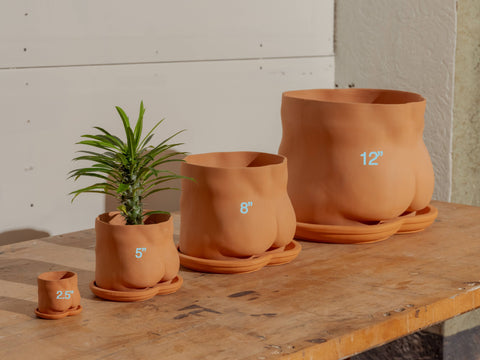 Group Partner 2.5" Mini Butt Pot with Saucer | Terra Cotta