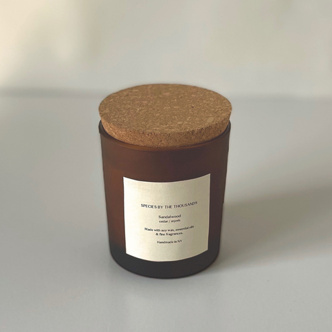 Species by the Thousands Candle | Sandalwood, Cedar, & Myrrh