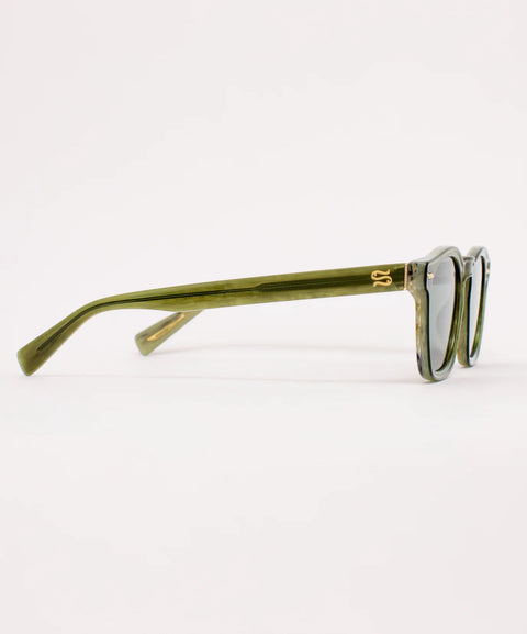 Sardine Alfie Sunglasses | Sage What