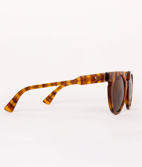 Sardine Sardine Aster Sunglasses in Match Play