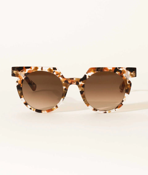 Sardine Aster Sunglasses | Terra Fawna