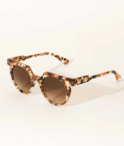 Sardine Aster Sunglasses | Terra Fawna
