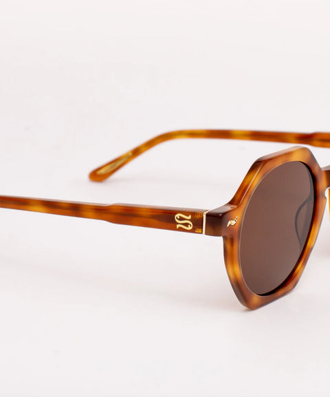 Sardine Millie Sunglasses | Carmelo Glaze